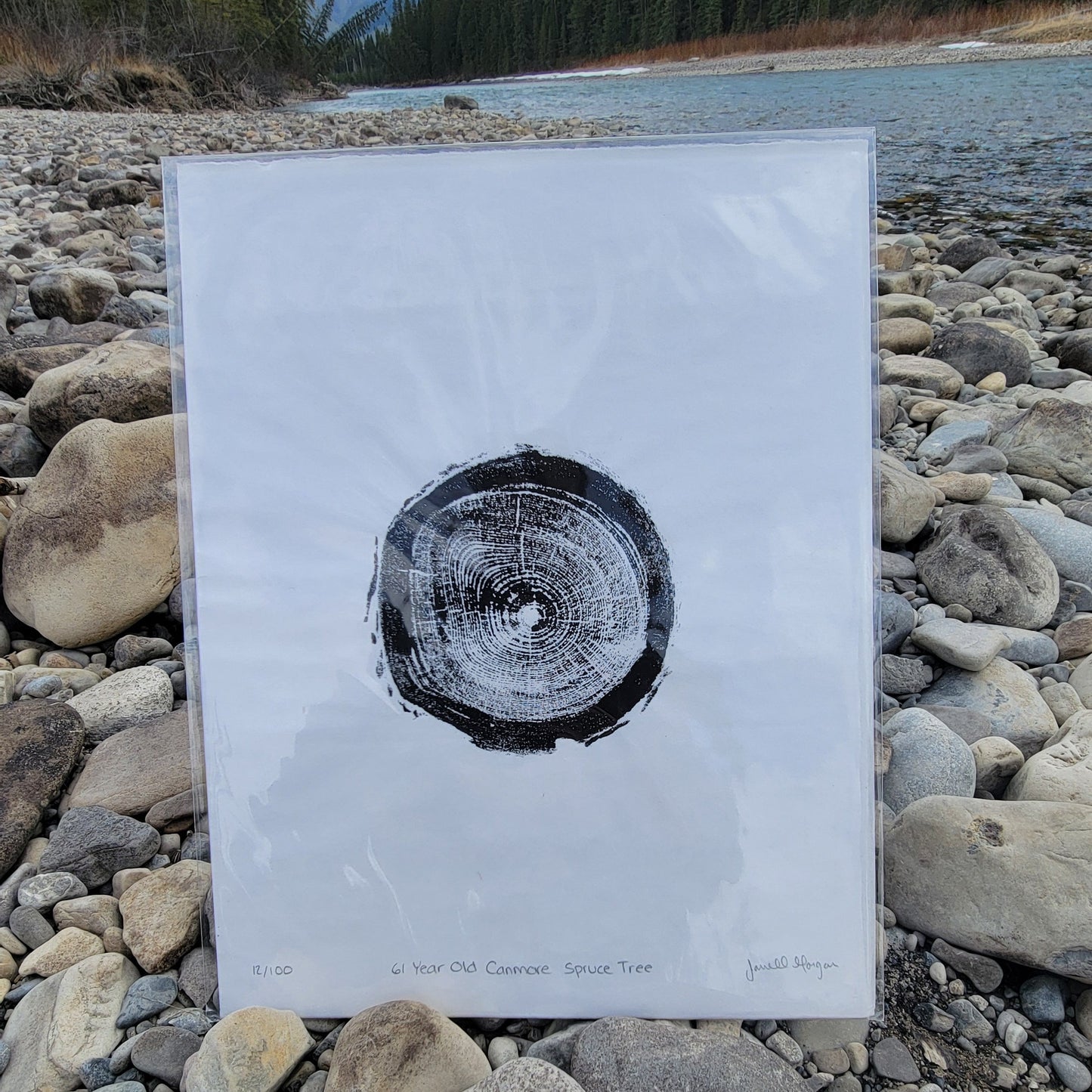 61 Year Old Canmore Spruce Tree Tote