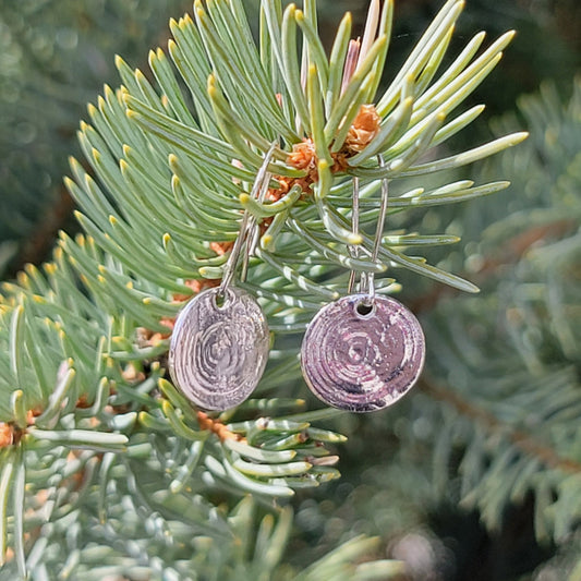 Fir Tree Rings