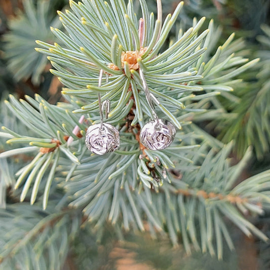 Spruce Tree Cone Tip