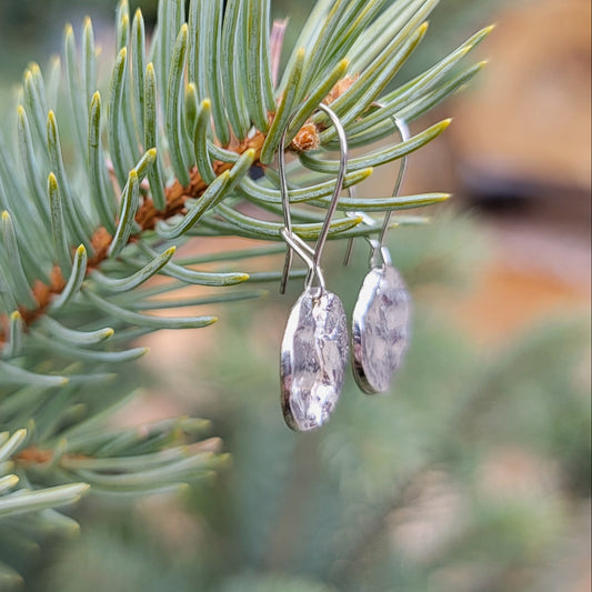 Fossilized Tree Bark