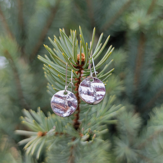 Fossilized Tree Bark