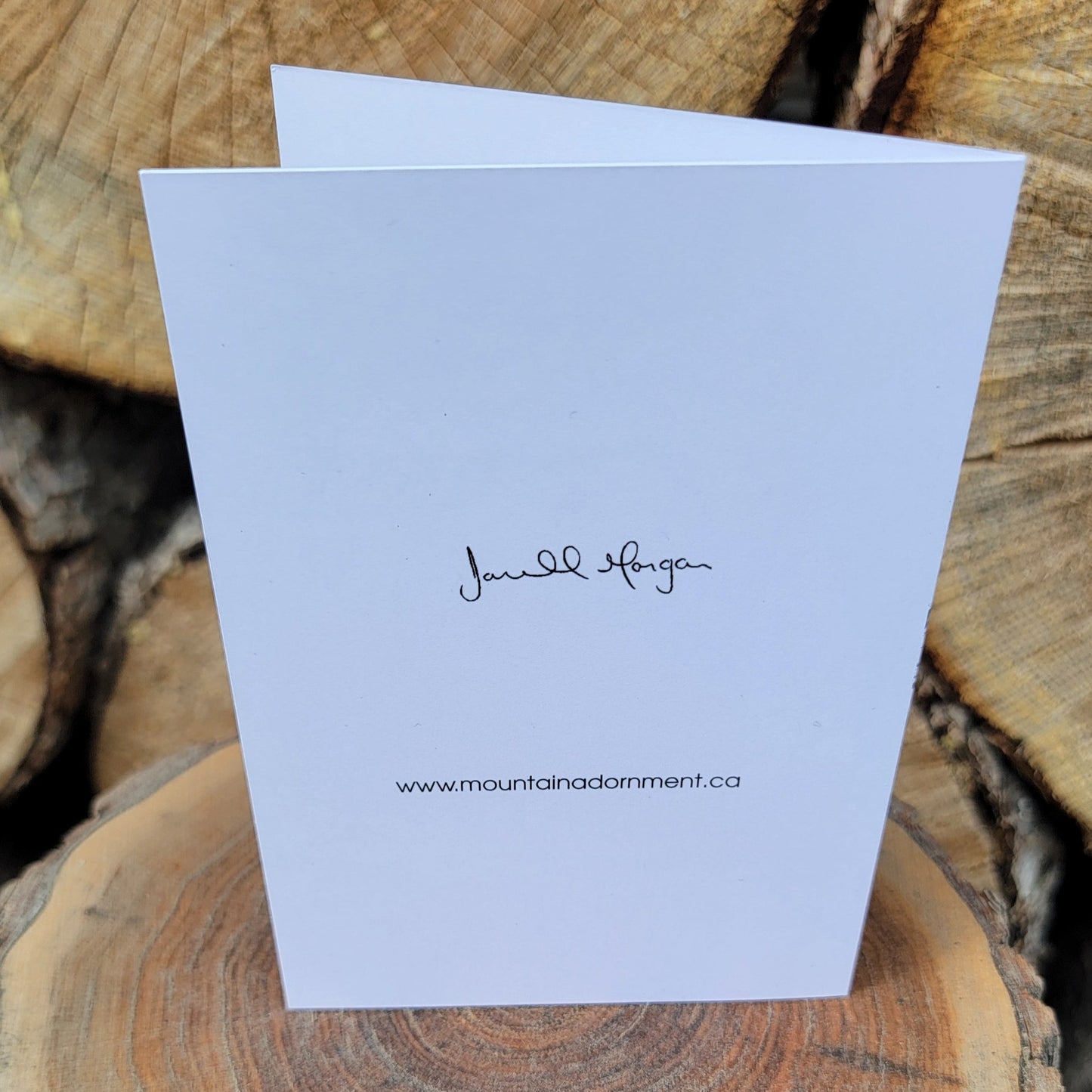 226 Year Old Rocky Mountain Fir Tree Greeting Card