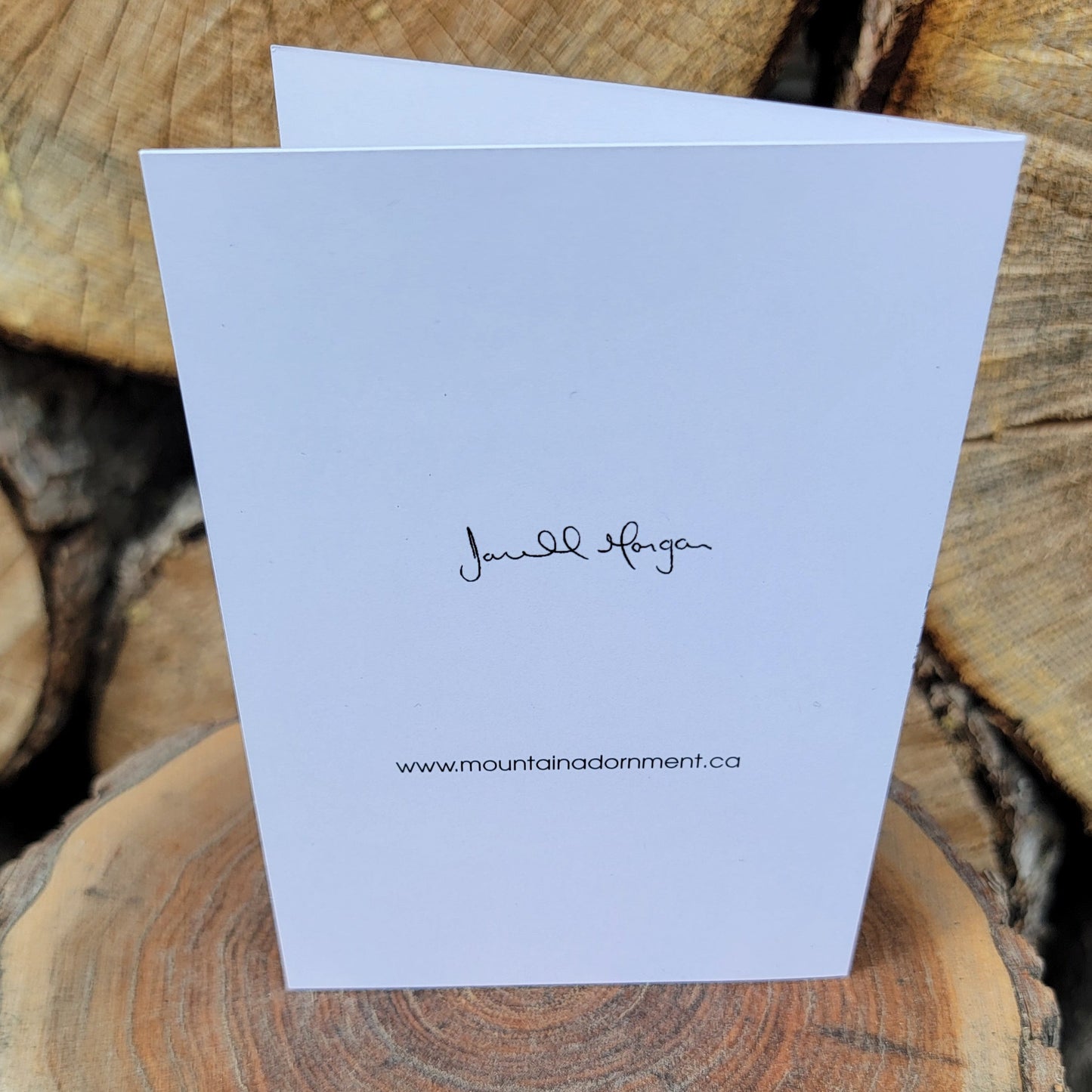 296 Year Old Banff Fir Tree Greeting Card