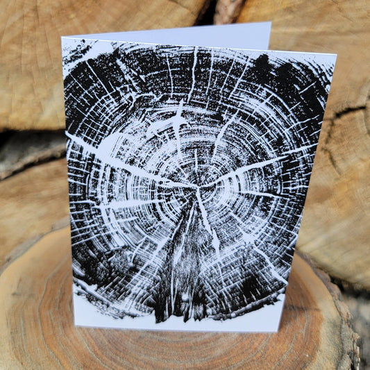 255 Year Old Banff Fir Tree Greeting Card