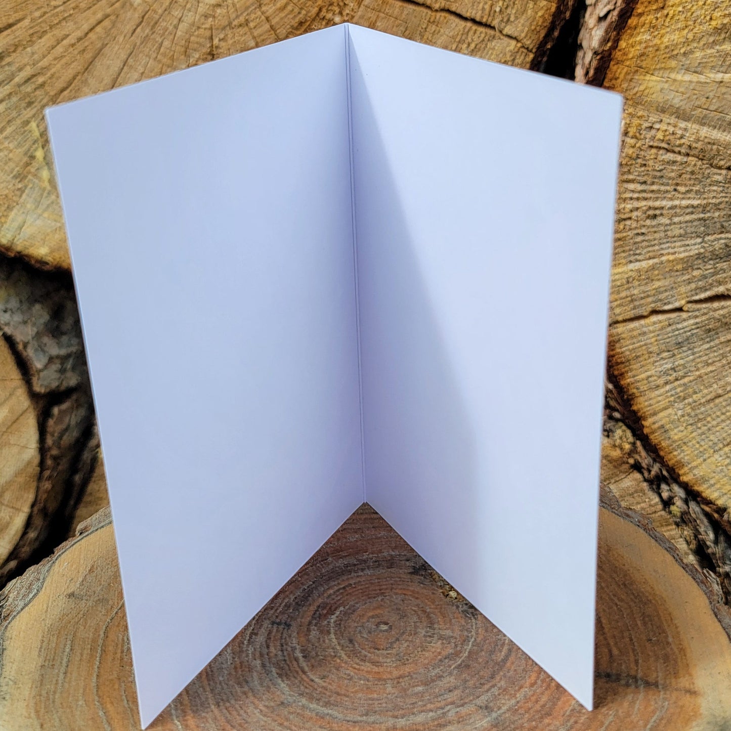 255 Year Old Banff Fir Tree Greeting Card