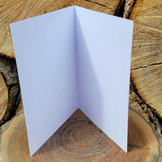 226 Year Old Rocky Mountain Fir Tree Greeting Card