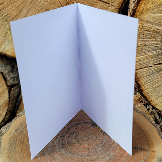 296 Year Old Banff Fir Tree Greeting Card