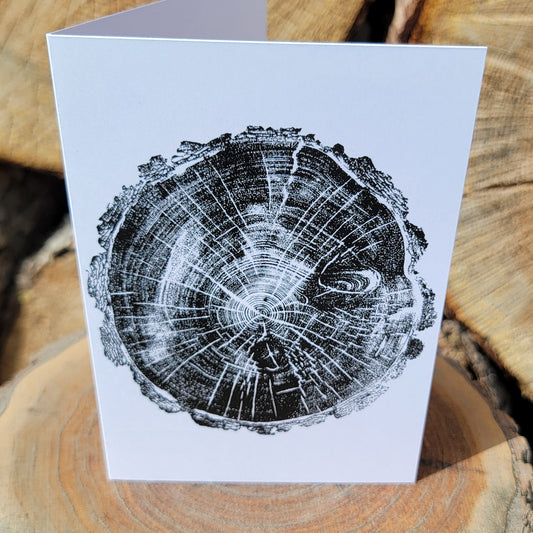 226 Year Old Rocky Mountain Fir Tree Greeting Card