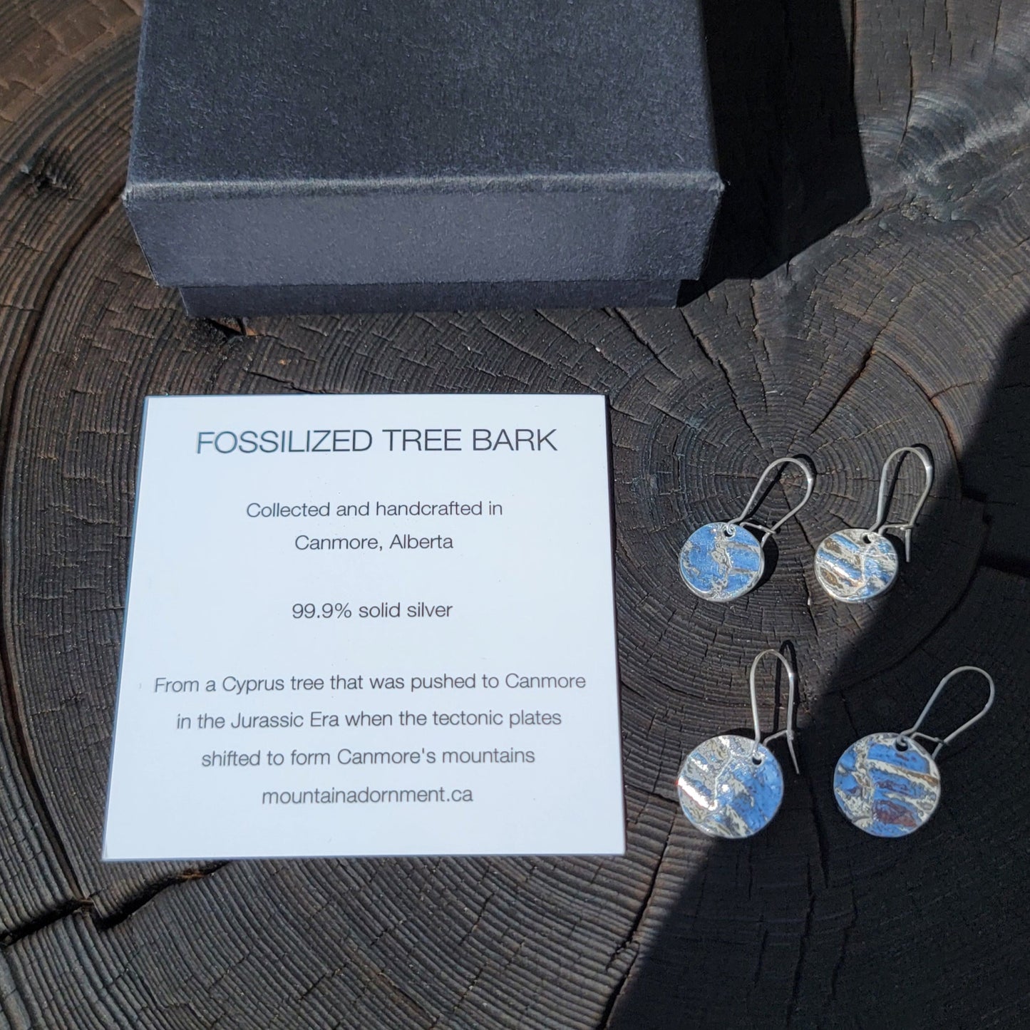 Fossilized Tree Bark