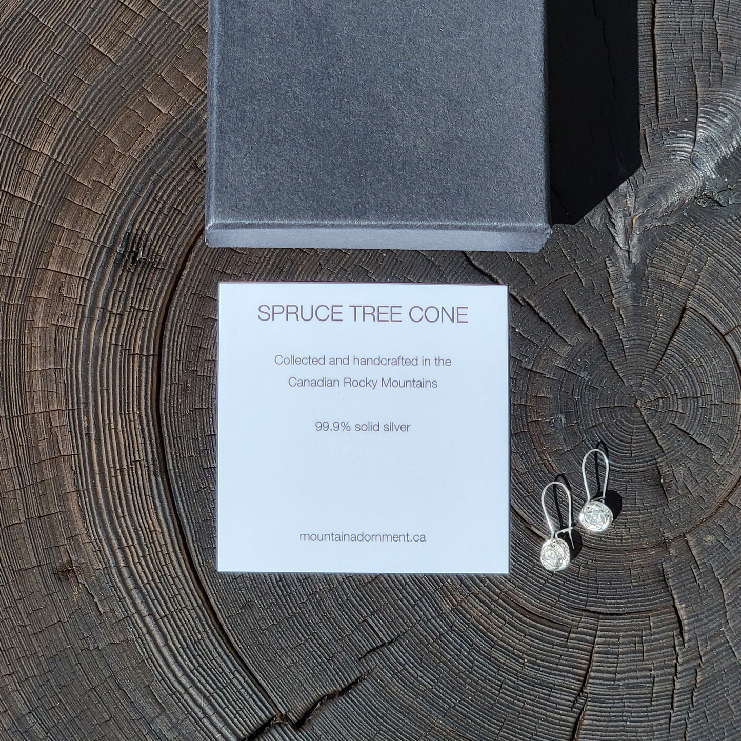 Spruce Tree Cone Tip