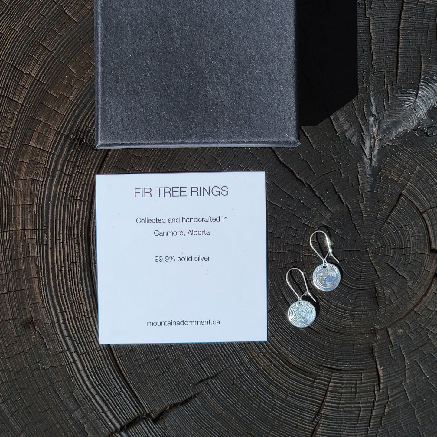 Fir Tree Rings