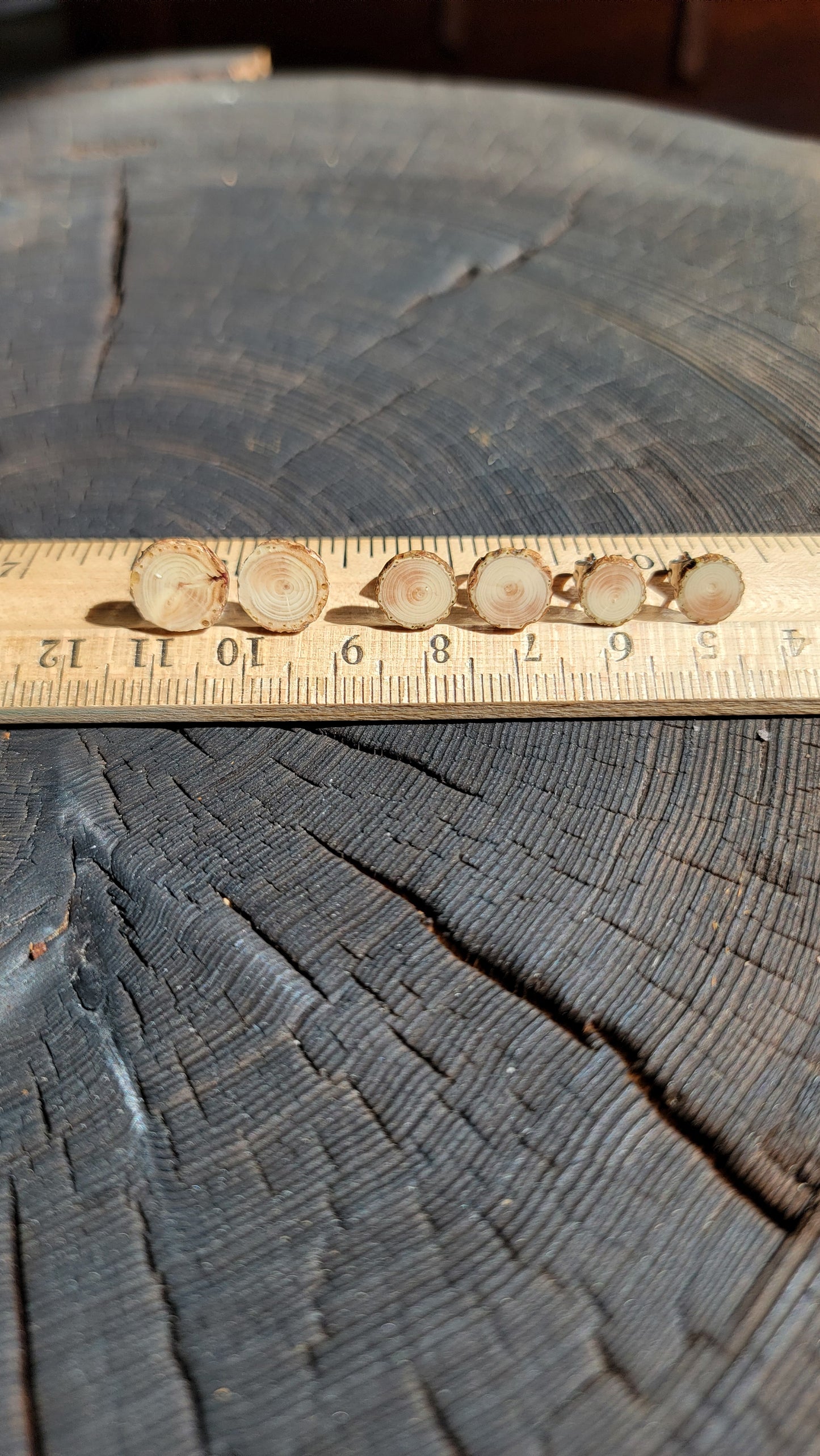 Tree Branch Earrings