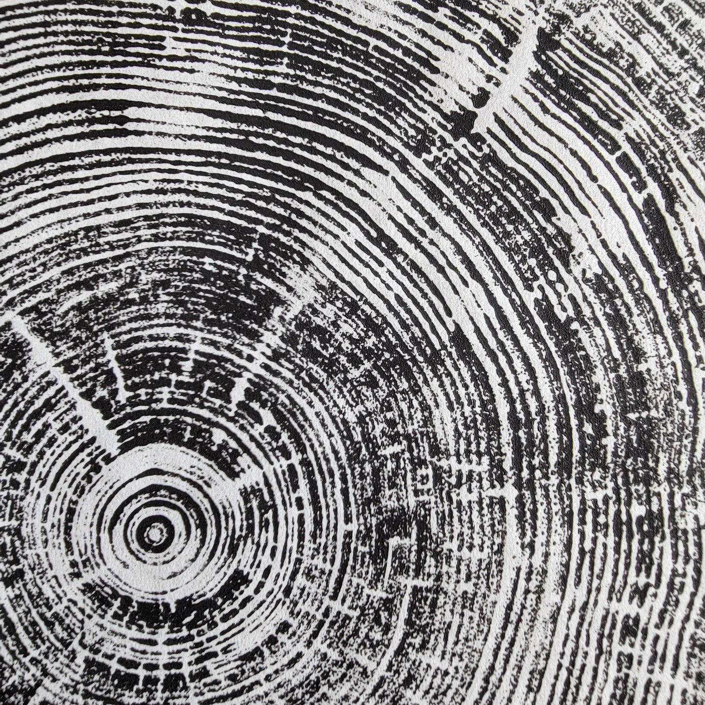 165 Year Old Canmore Spruce Tree