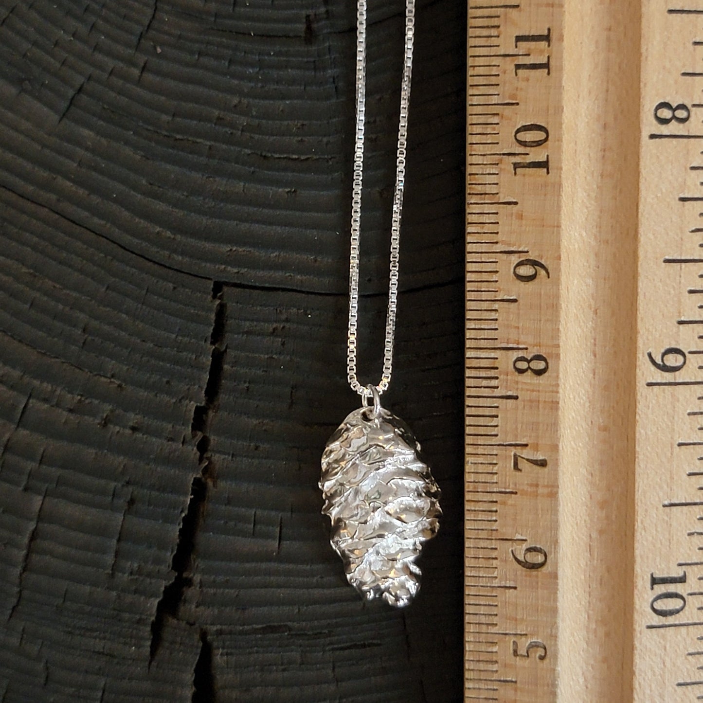 Spruce Tree Cone