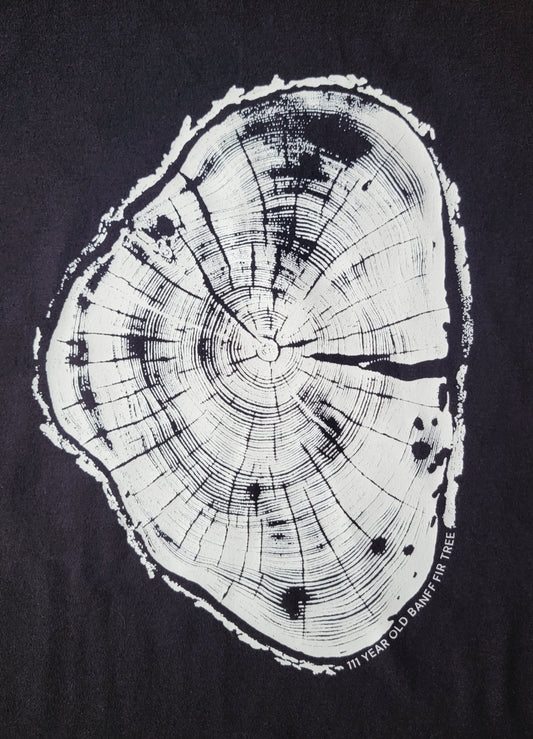 111 Year Old Banff Fir Tree