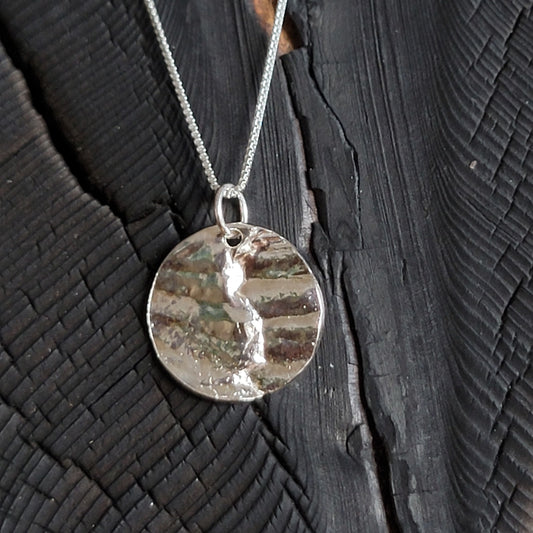 Fossilized Tree Bark