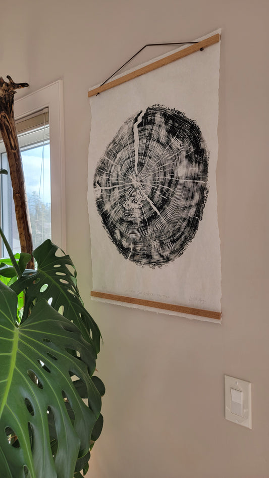 121 Year Old Canmore Fir Tree