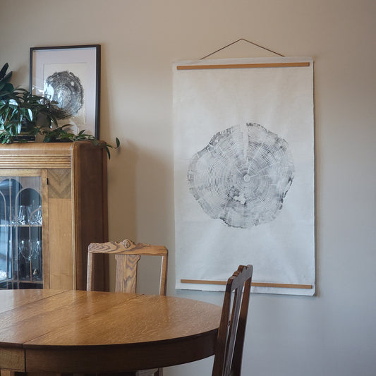 74 Year Old Bow Valley Pine Tree