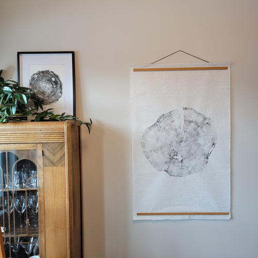 74 Year Old Bow Valley Pine Tree