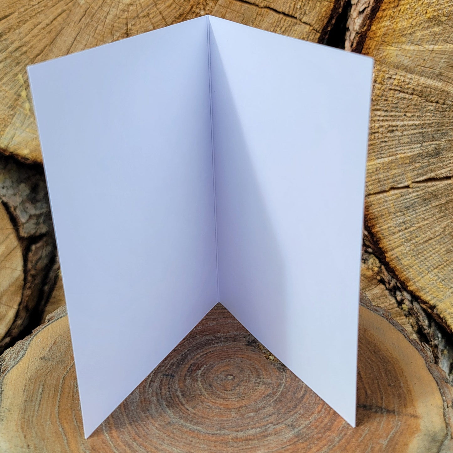 226 Year Old Rocky Mountain Fir Tree Greeting Card
