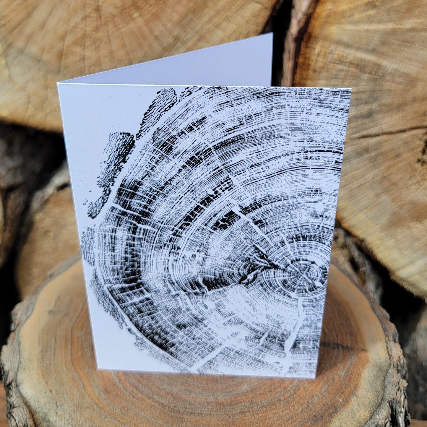 296 Year Old Banff Fir Tree Greeting Card