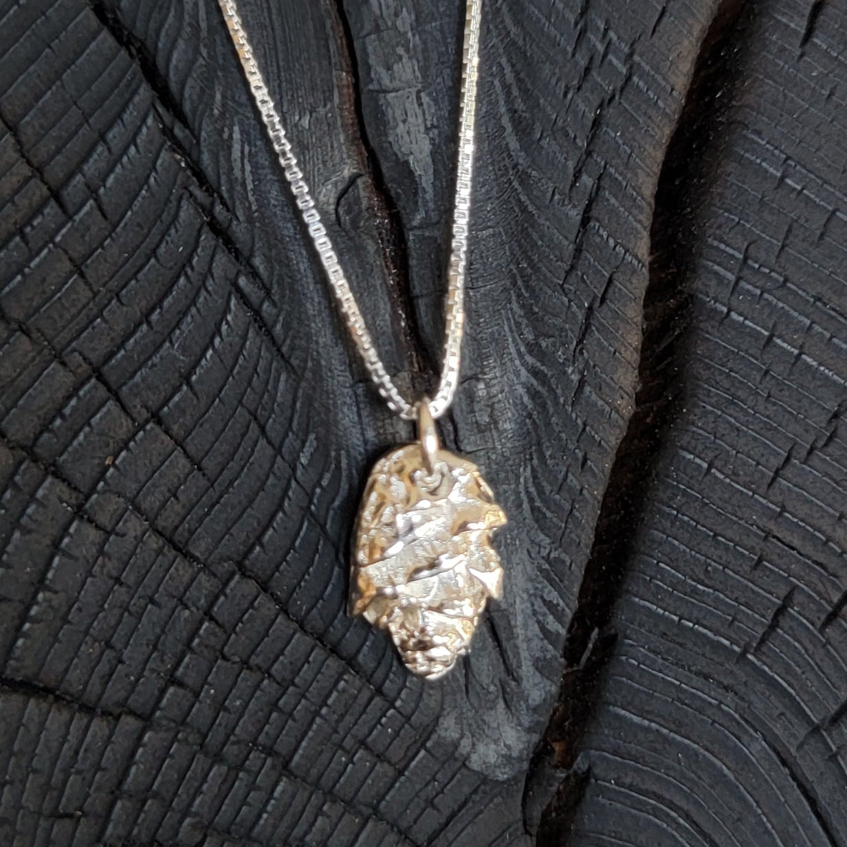 Larch Cone