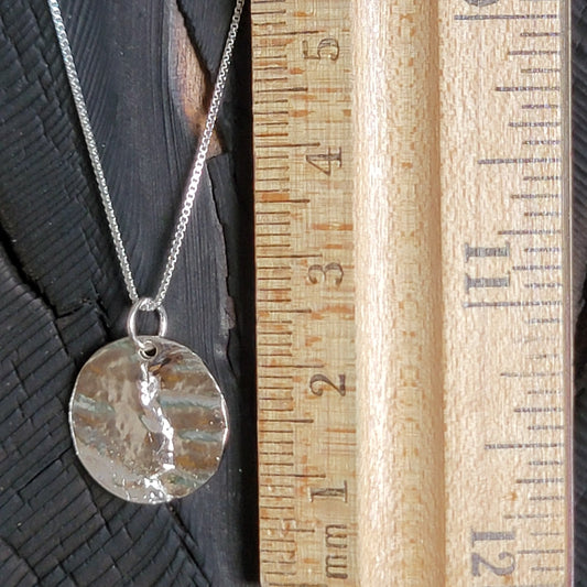 Fossilized Tree Bark