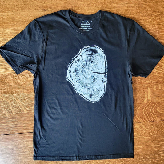 111 Year Old Banff Fir Tree