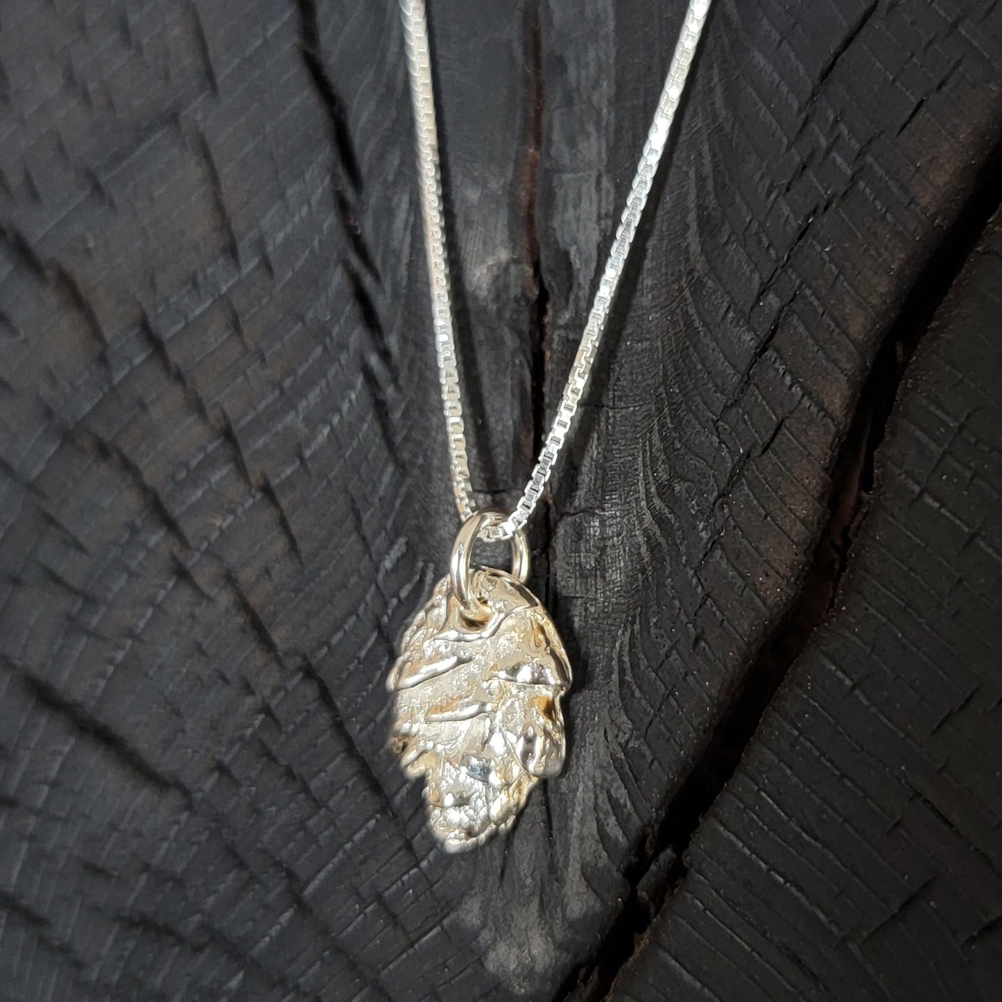 Larch Cone