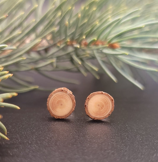 Spruce Tree Stud Earrings
