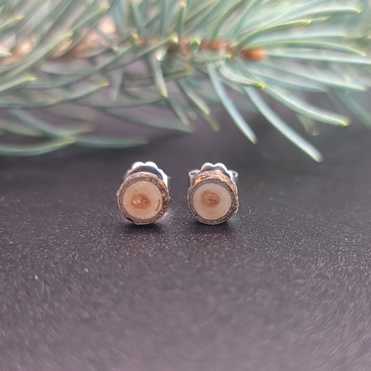 Small Poplar Tree Earrings