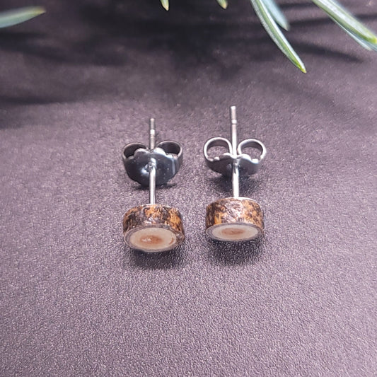 Small Poplar Tree Earrings