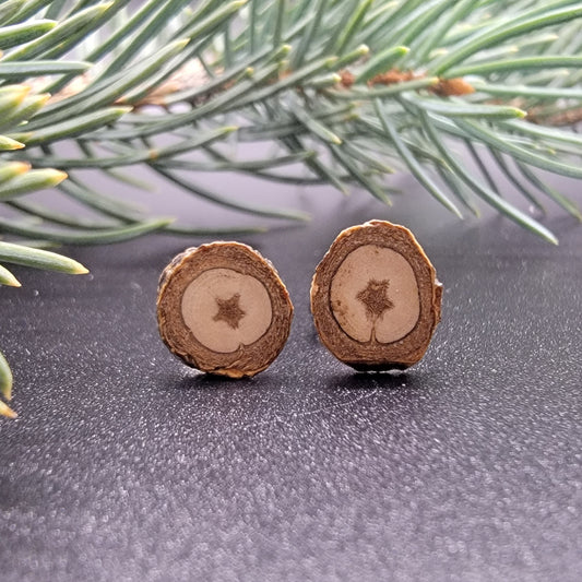 Poplar Tree Earrings