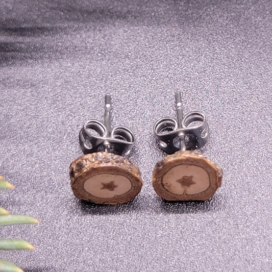 Poplar Tree Earrings